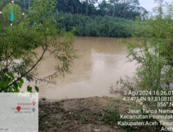 Mau Menyusul Ibunya Dikebun Sawit, Gadis Remaja Ini Malah Tenggelam di Sungai