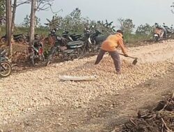 17 Tahun, Jalan Rusak di Desa Ini Luput Dari Perhatian Pemkab Blora, Warga Berinisiatif Perbaiki Sendiri Modal Patungan